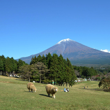 まかいの牧場イメージ