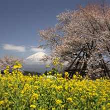狩宿の下馬ザクライメージ